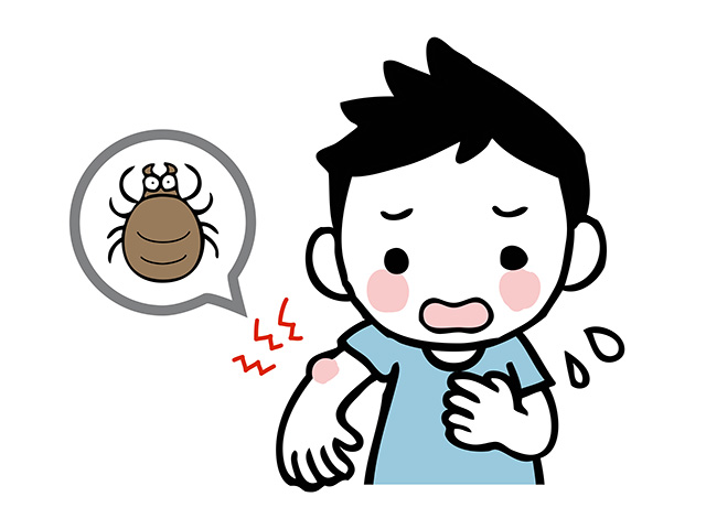 マダニを媒介する感染症「重症熱性血小板減少症候群」発症者数は8月時点で135人と、過去最多を更新