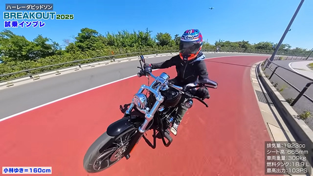 初めて大型ハーレーを体験する方も楽しめる1台！
